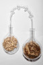 Nature lab Glass Vessels. Jochen Holz. Crafts Council Collection: . Photo: Stokes Photo Ltd. 