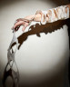 ARM PIECE, CAROLINE BROADHEAD, 1984. © CAROLINE BROADHEAD, Crafts Council Collection: J235. Photo: LINDA SHAKESBY.