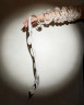 ARM PIECE, CAROLINE BROADHEAD, 1984. © CAROLINE BROADHEAD, Crafts Council Collection: J235. Photo: LINDA SHAKESBY.